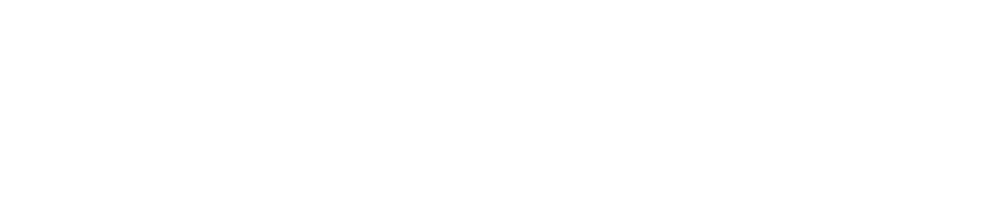 LSI